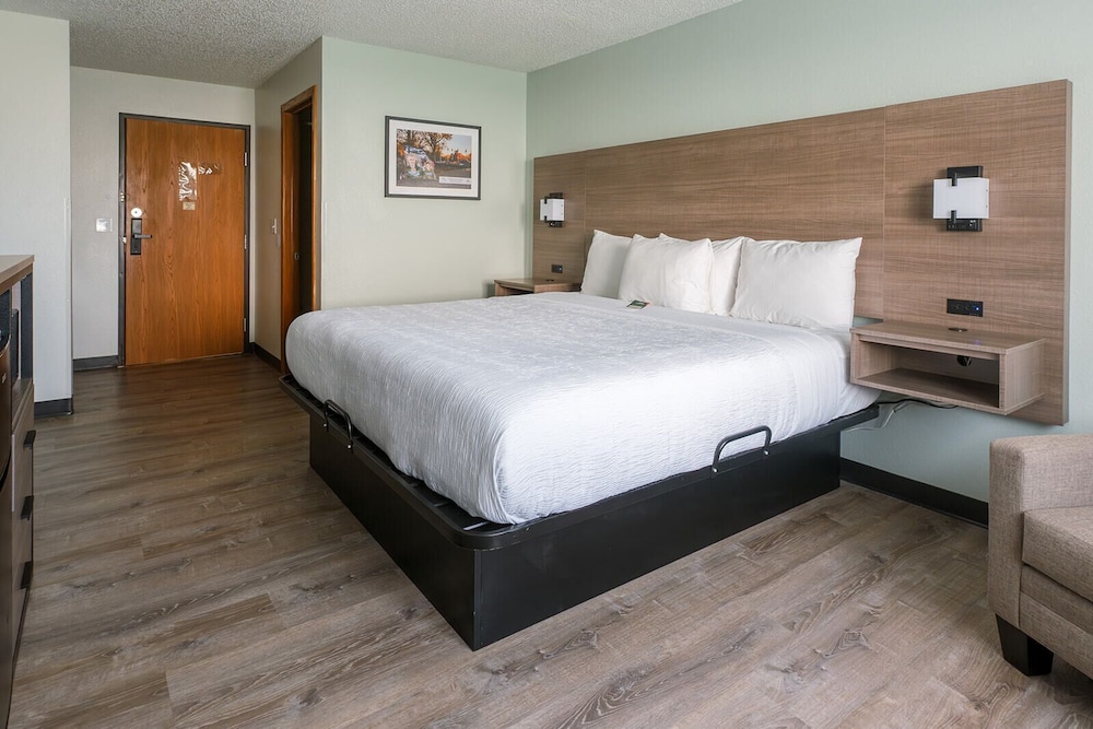 Standard Room, 1 King Bed, Pets Allowed, Ground Floor photo 1