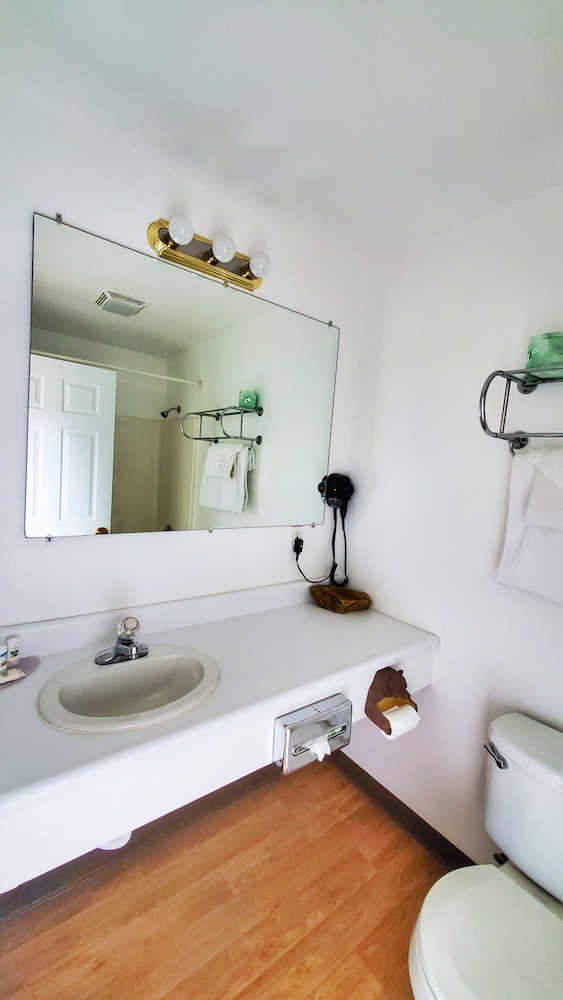 Single King Room (Pet Friendly) photo 3