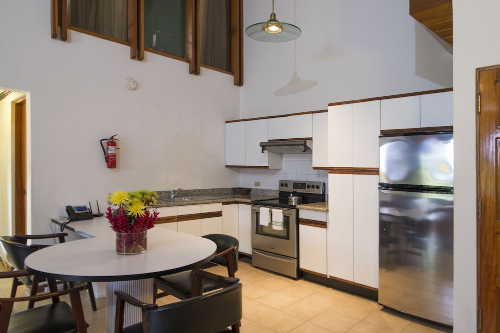 Classic Penthouse - Photo 7