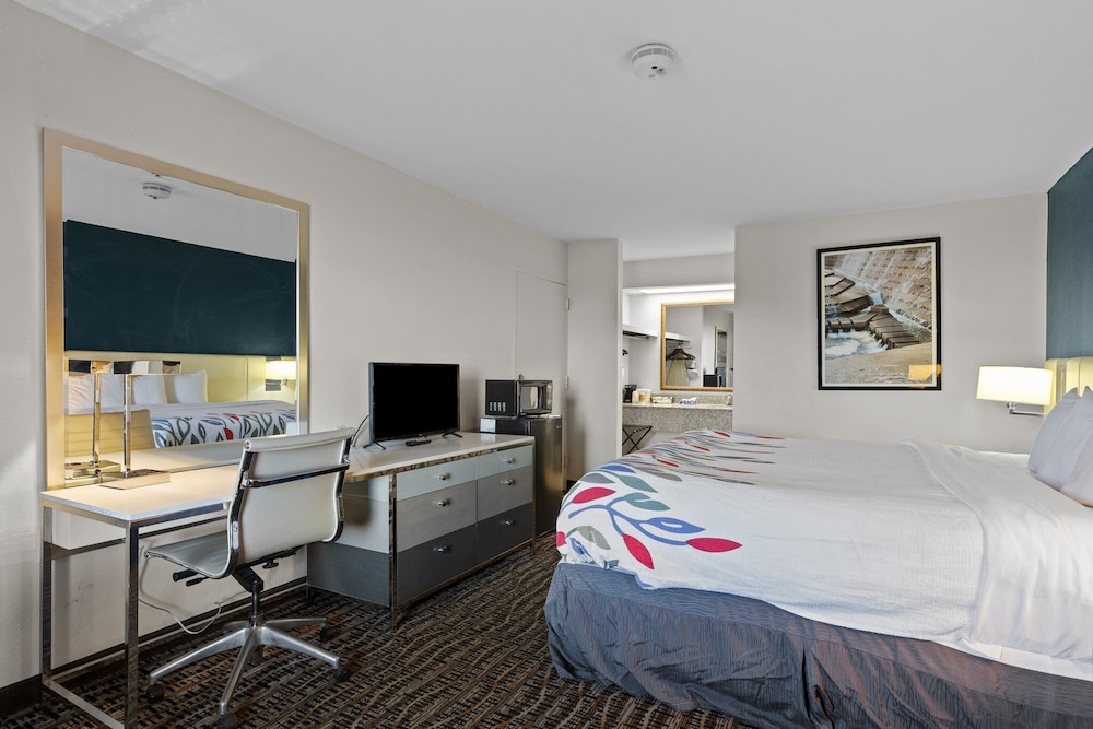 King Bed Pet Friendly photo 2