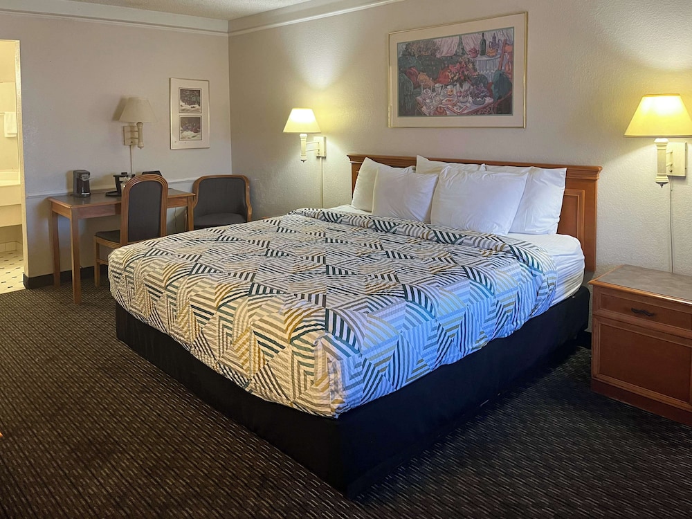Standard Room, 1 King Bed, Accessible, Non Smoking - Photo 1