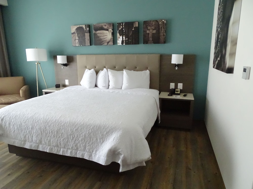 Room, 1 King Bed, Non Smoking, Refrigerator