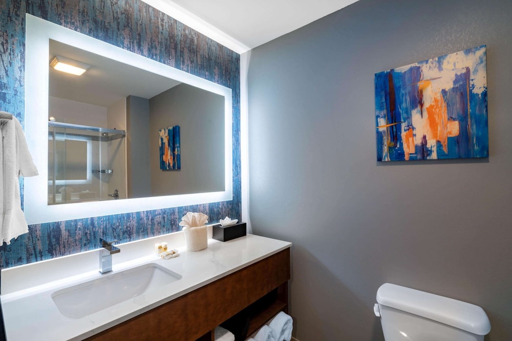 Standard Studio, 1 King Bed, Non Smoking (Efficiency with Wet Bar) - Photo 2
