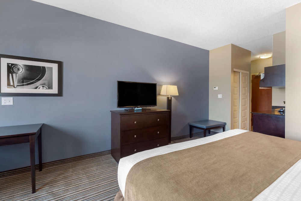 Standard Room, 1 King Bed, Non Smoking, Refrigerator & Microwave photo 1