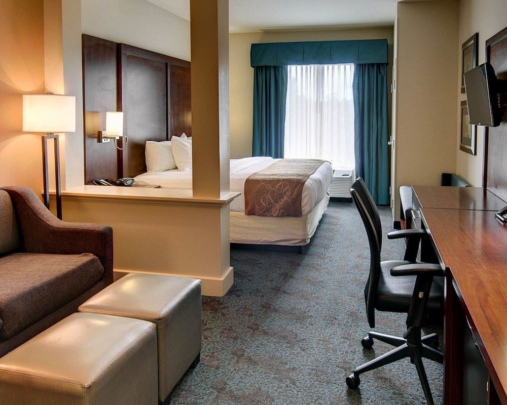 Suite, 1 King Bed, Non Smoking photo 2