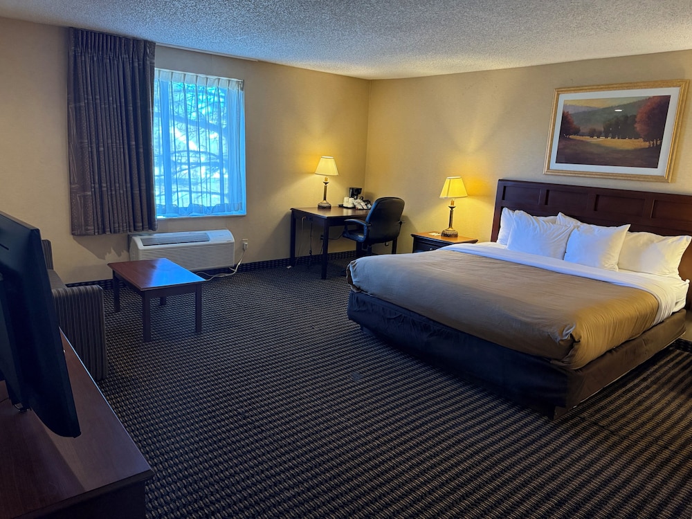Suite, 1 King Bed, Non Smoking - Photo 1