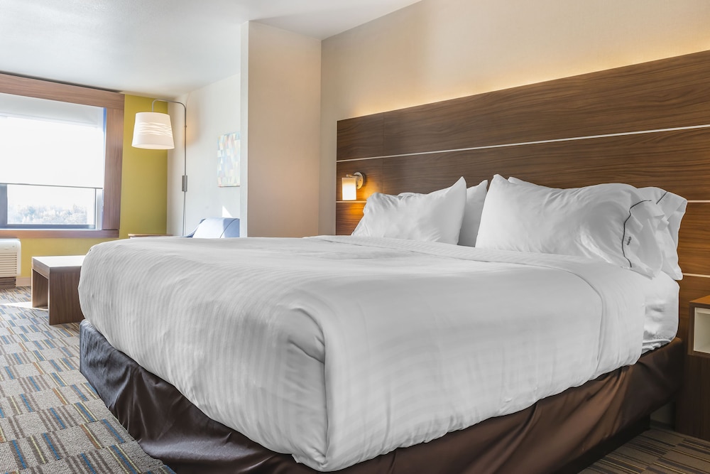 Suite, 1 King Bed with Sofa bed