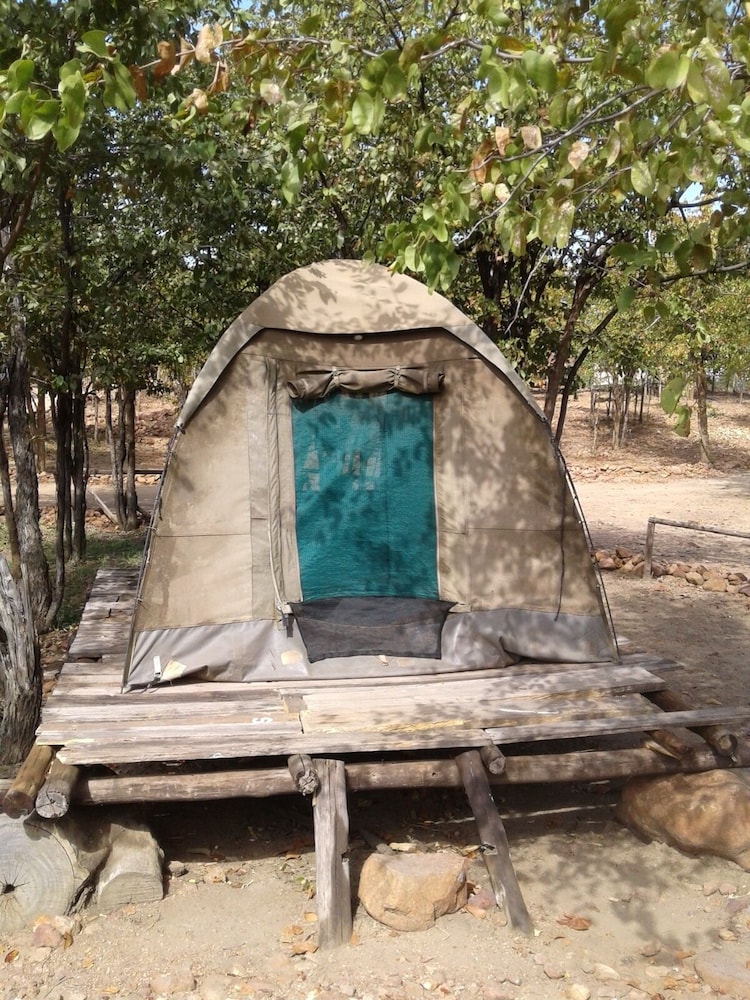 Basic Tent, 1 Bedroom photo 3