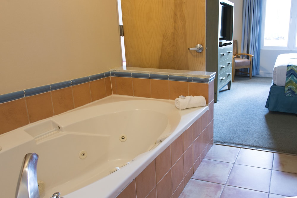 Suite, 1 Bedroom photo 2
