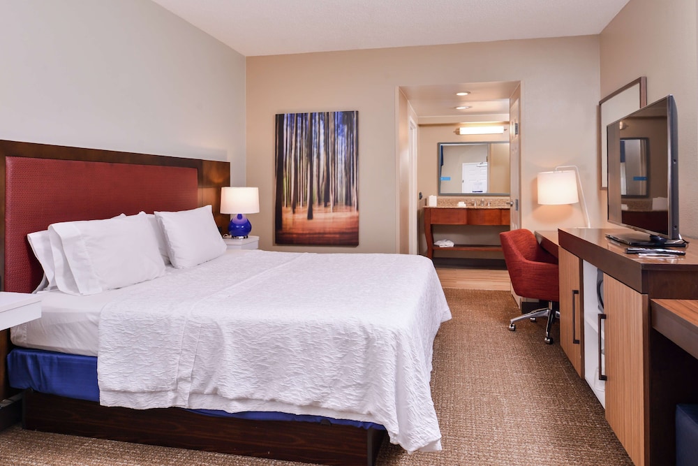 Room, 1 King Bed, Non Smoking photo 2