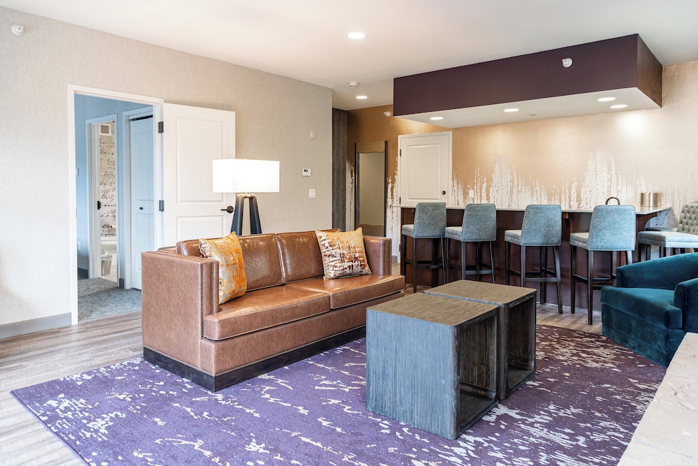 Suite, 1 King Bed with Sofa bed