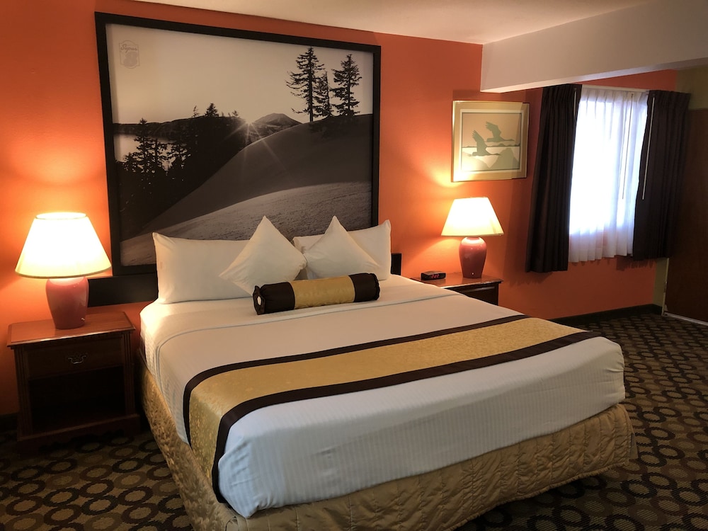 Room, 1 King Bed, Non Smoking photo 3