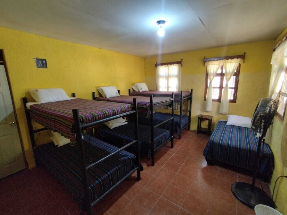 Basic Shared Dormitory photo 1