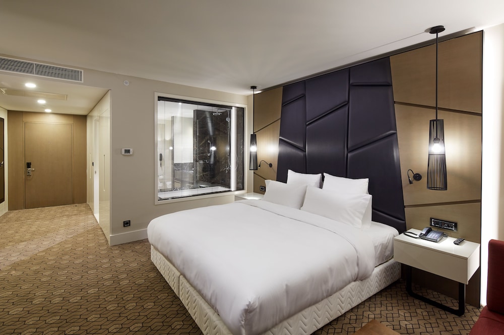 Executive Room, City View (Lounge Access) photo 2