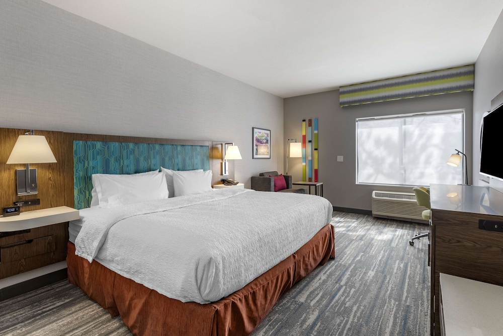 Room, 1 King Bed, Accessible (Roll-In Shower) - Photo 3