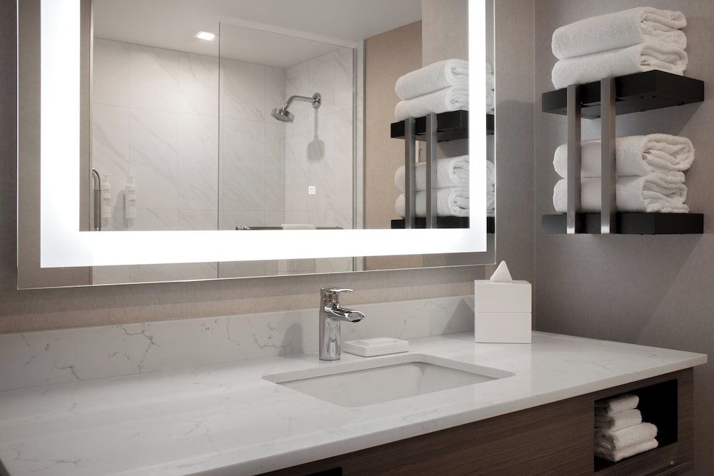 Room, 1 King Bed, Accessible (Mobility, Hearing, Roll-In Shower) - Photo 4