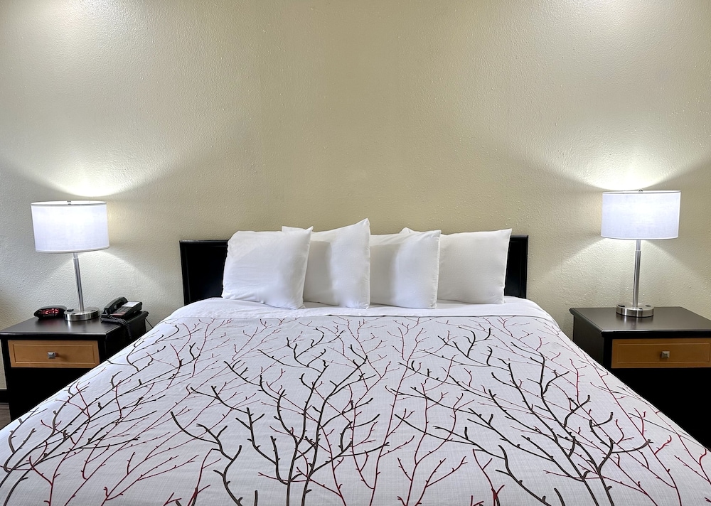Standard Room, 1 King Bed, Smoking - Photo 1