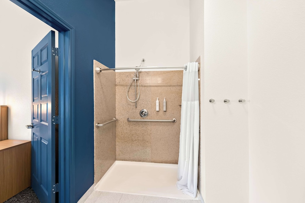 Room, 1 King Bed, Accessible (Mobility & Hearing, Roll-in Shower) - Photo 6