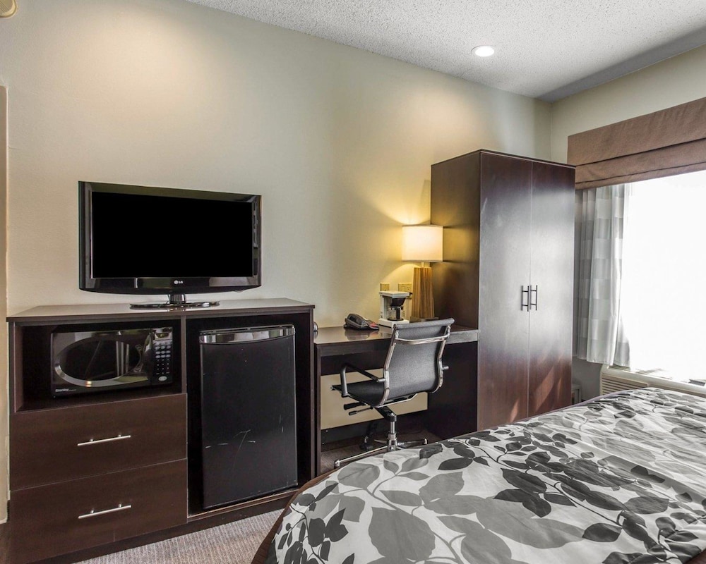 Room, 1 Queen Bed, Non Smoking
