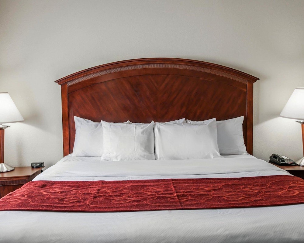 Suite, 1 King Bed with Sofa bed photo 2