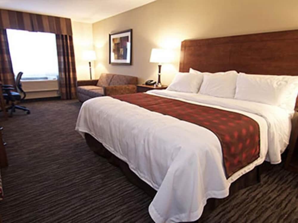 Superior Room photo 1