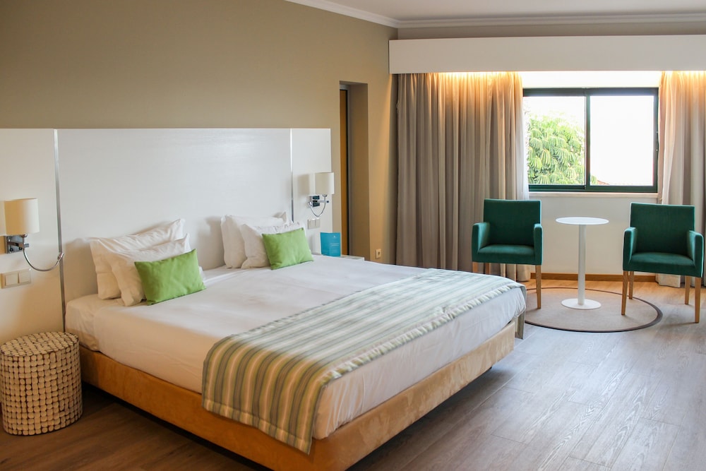 Suite - Photo 1