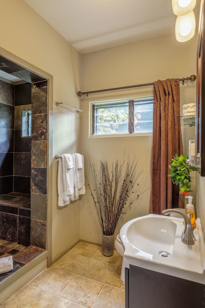 Classic Studio Suite, Kitchenette