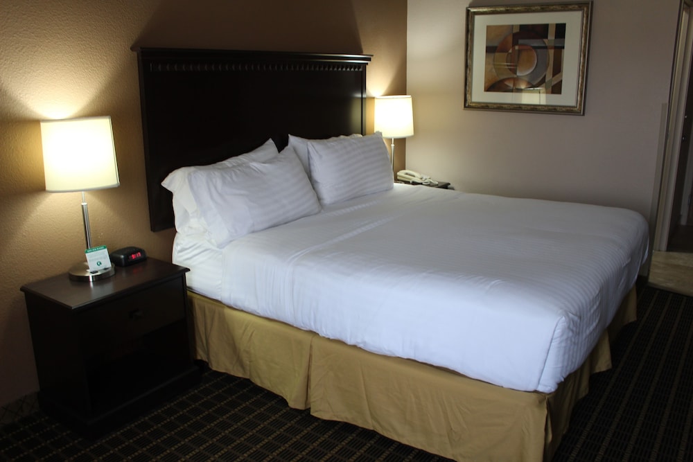 Standard Room, 1 King Bed - Photo 7