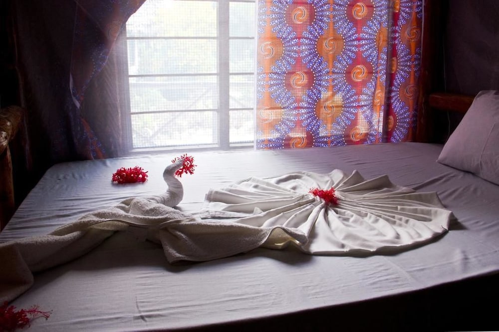 Basic Shared Dormitory, Mixed Dorm photo 1