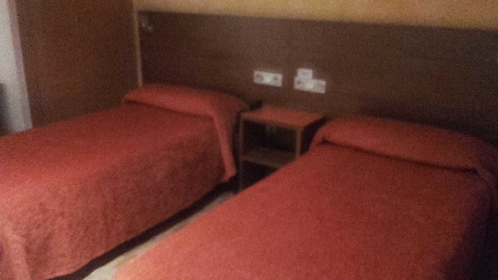 Twin Room photo 2