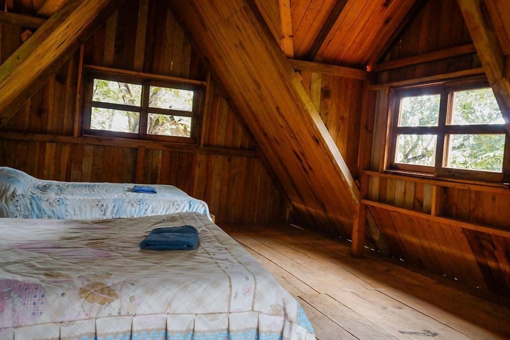 Family Cabin, Multiple Beds (6 Pax) photo 3