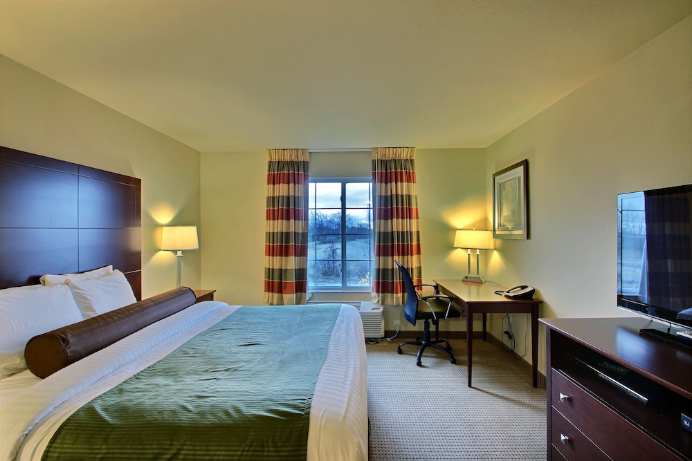 Room, 1 King Bed, Accessible, Non Smoking (Mobility Roll-In Shower) photo 2