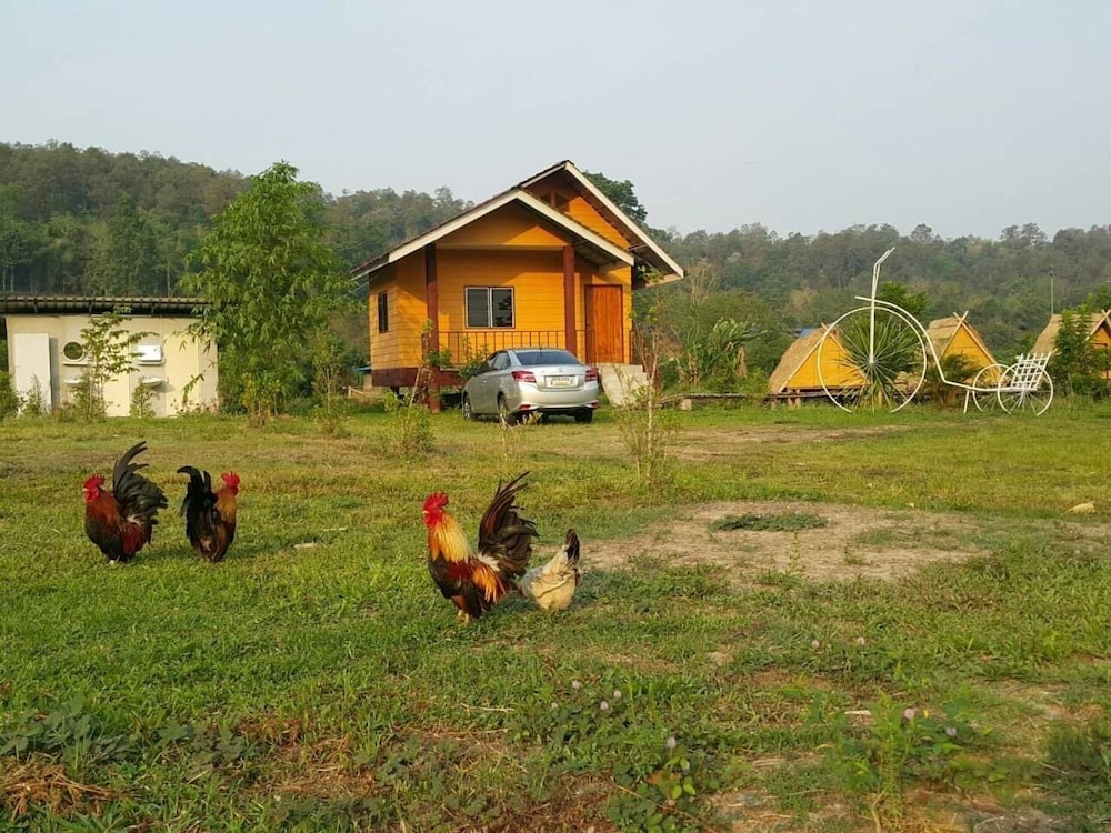 Family House photo 2