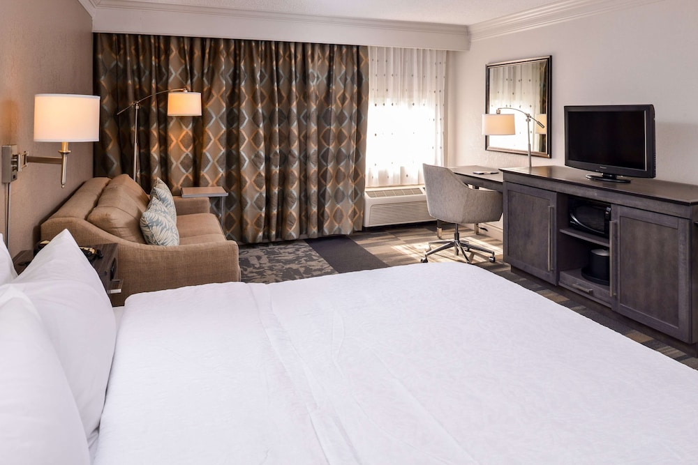 Standard Room, 1 King Bed, Non Smoking photo 1