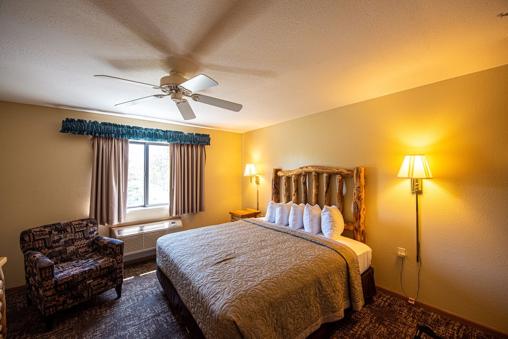 Room, 1 King Bed, Non Smoking, Park View (and Lakeview) - Photo 2