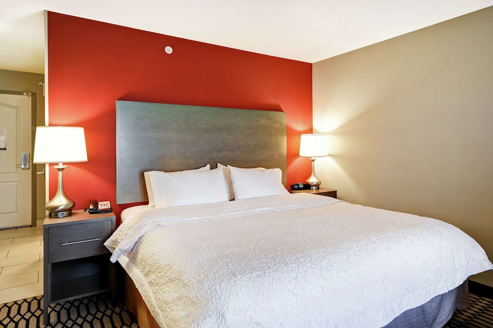 Room, 1 King Bed, Accessible, Non Smoking photo 1
