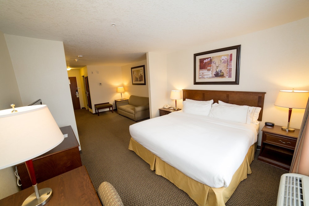 Suite, 1 King Bed with Sofa bed