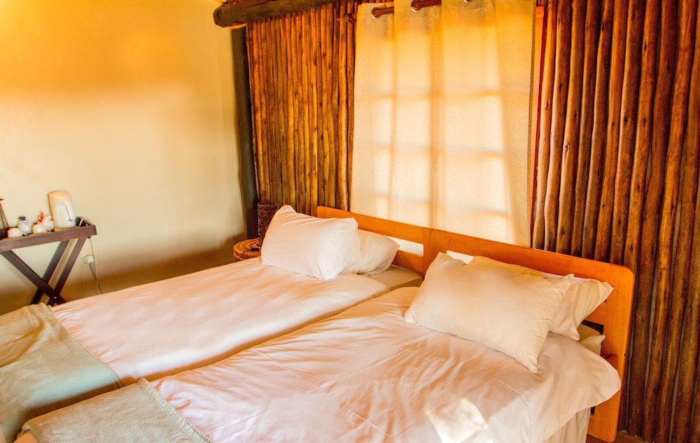 Twin Room photo 1
