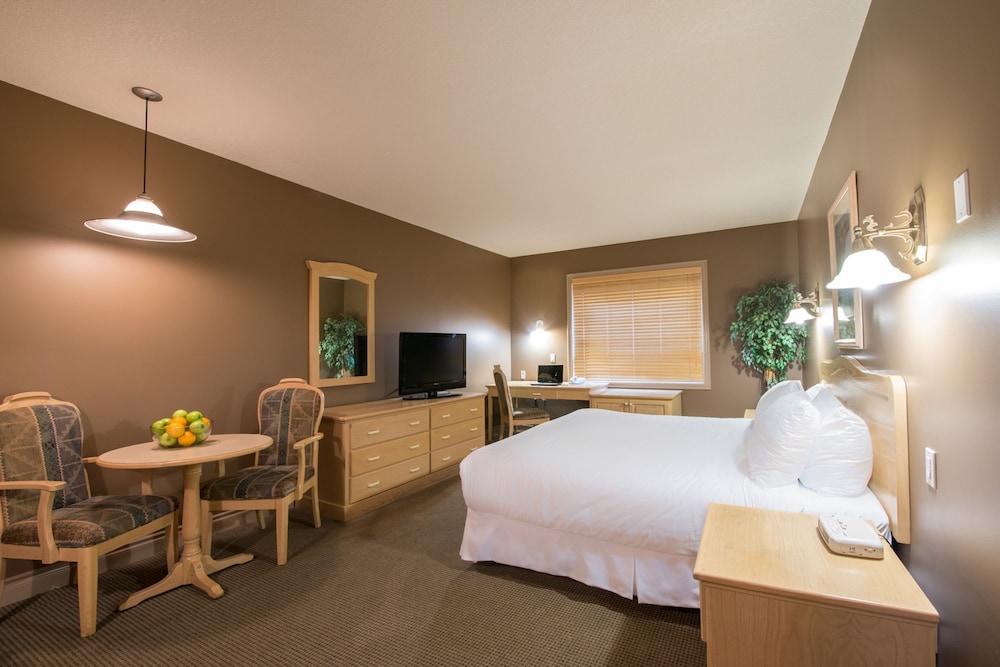 King Bachelor with Kitchenette photo 1