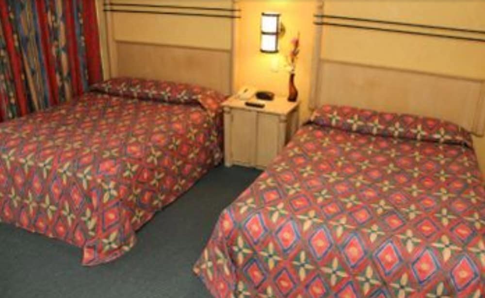 Superior Quadruple Room photo 1