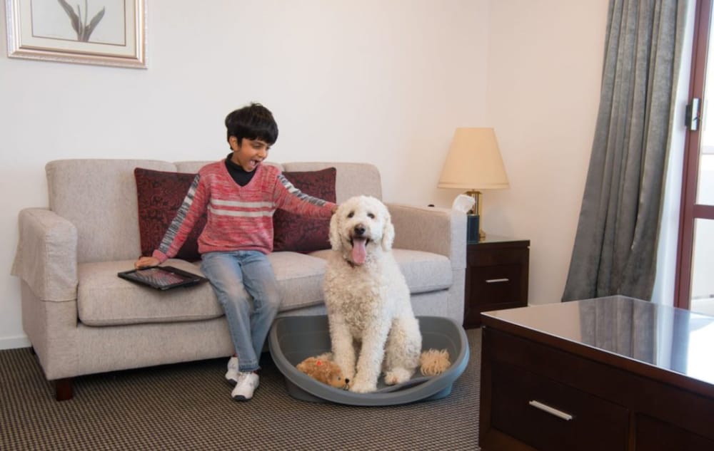 Standard One Bedroom Apartment - Pet Friendly