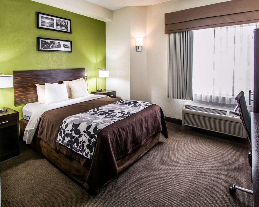 Room, 1 King Bed, Non Smoking (Promotional) - Photo 4