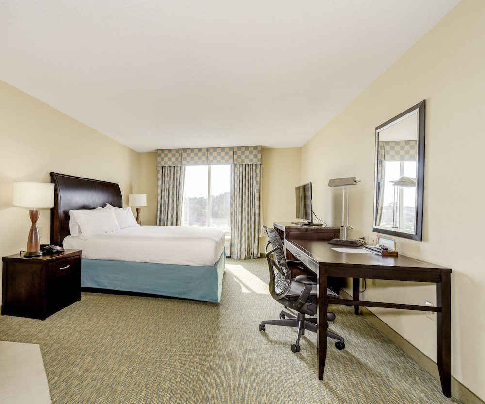 Evolution Room, 1 King Bed photo 1