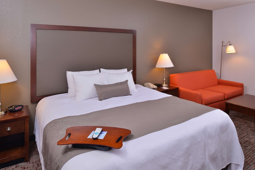 Standard Room, 1 King Bed, Non Smoking, Refrigerator & Microwave - Photo 4
