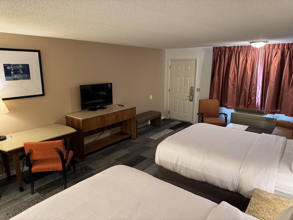 Standard Double Room, Multiple Beds, Refrigerator & Microwave, No Pets photo 3