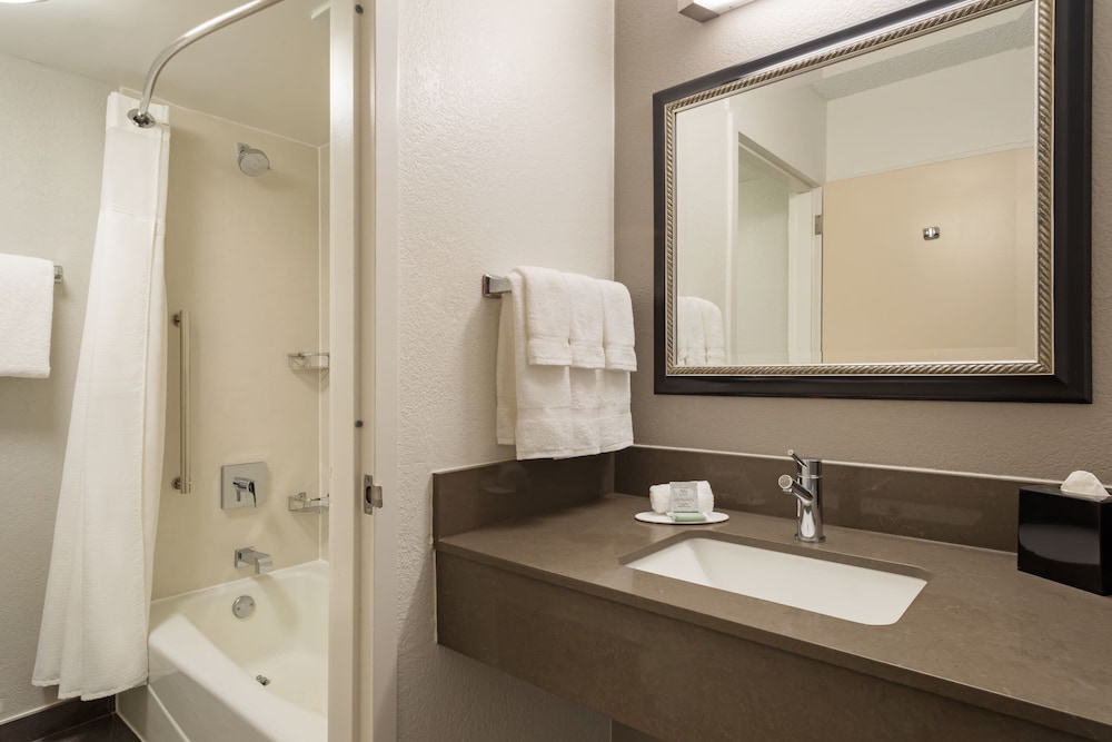 Suite, 1 Bedroom - Photo 5