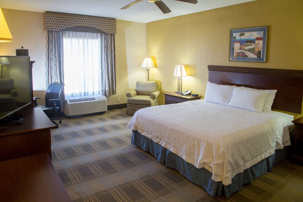 Room, 1 King Bed, Accessible, Non Smoking (w/ roll-in shower) - Photo 1
