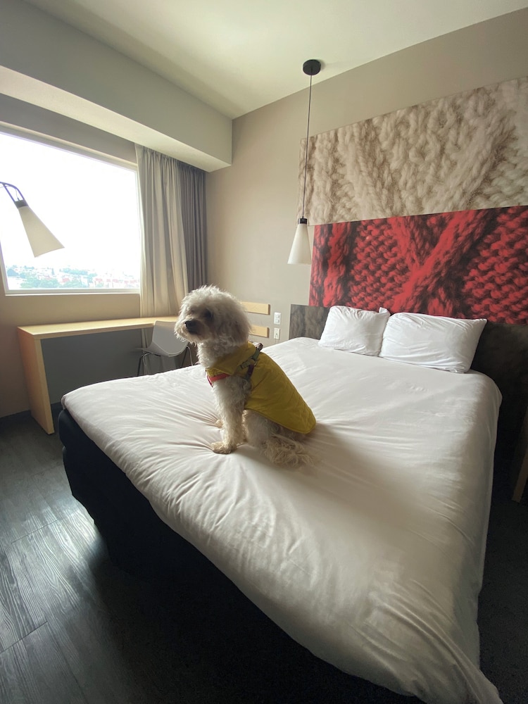 Standard Room, 1 Queen Bed thumbnail 6