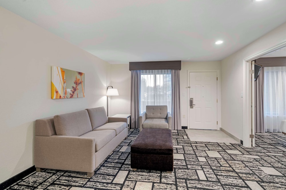 Suite, 1 King Bed, Accessible, Non Smoking (With Sofabed) - Photo 3