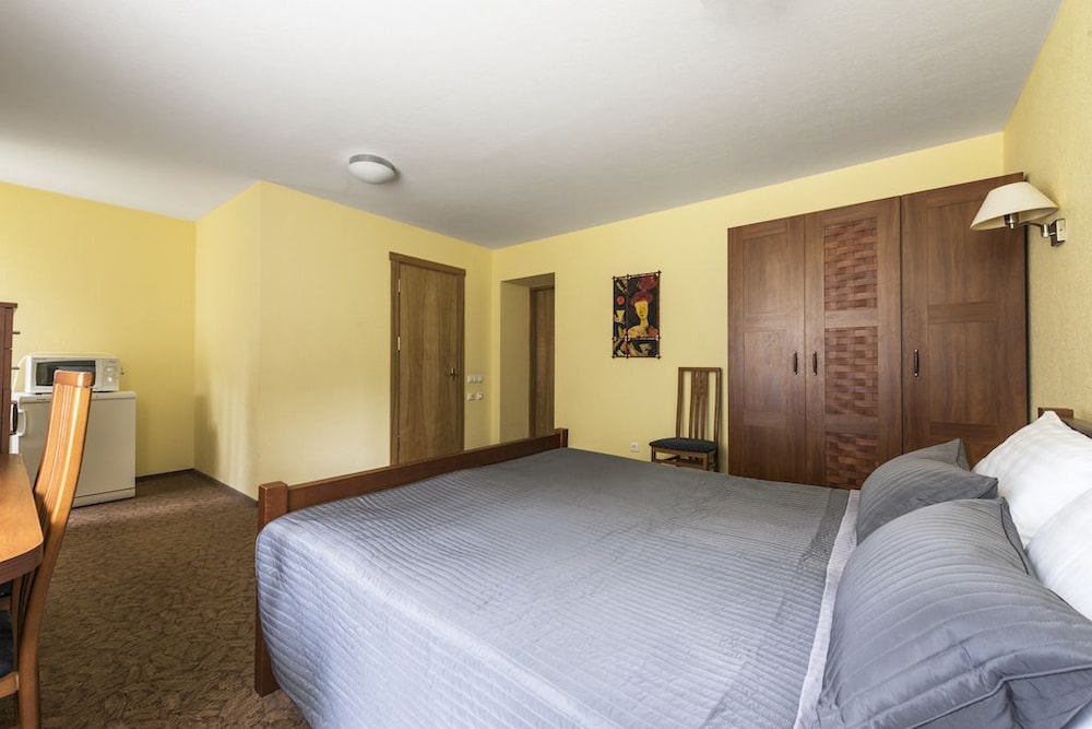 Deluxe Double Room photo 3